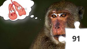 Jigsaw puzzle - 60522358_2272207879688093_5187561796185096192_n