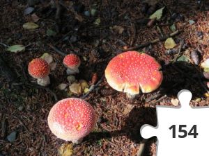 Jigsaw puzzle - IMG_0420