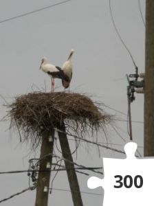 Jigsaw puzzle - Störche Baltikum