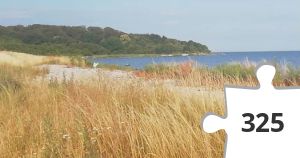 Jigsaw puzzle - højstrup strand