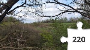 Jigsaw puzzle - Karantæneramt 13