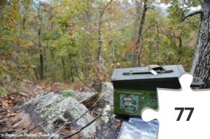 Jigsaw puzzle - Fall fun!