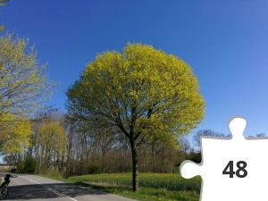 Jigsaw puzzle - 2019-04-21 11.28.44