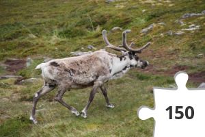 Jigsaw puzzle - Finnland