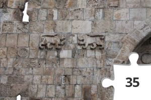 Jigsaw puzzle -  האריות