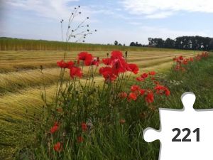 Jigsaw puzzle - Z1 - GC8MQE0