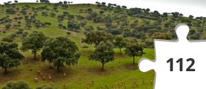 Jigsaw puzzle - ESTE