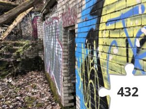 Jigsaw puzzle - Urban Graffitti in the Wild