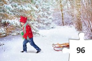 Jigsaw puzzle - 12-12