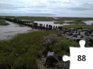 Jigsaw puzzle - Friedrichskoog