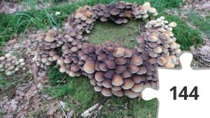 Jigsaw puzzle - puslerier 26