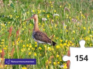 Jigsaw puzzle - Grutto ©Natuurmonumenten