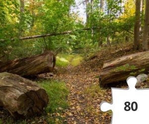 Jigsaw puzzle - A caching trail