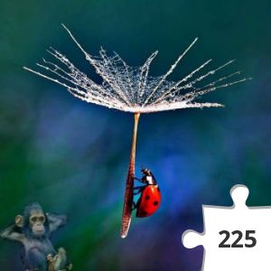 Jigsaw puzzle - 59939366_357969421374830_1491925137295933440_n