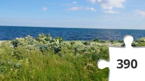 Jigsaw puzzle - 9 Hjerte-turen