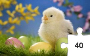 Jigsaw puzzle - Nr.23 Påskekylling