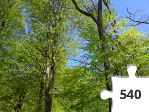 Jigsaw puzzle - Kig op # 3