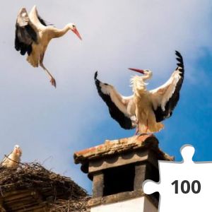 Jigsaw puzzle - CIGUEÑAS