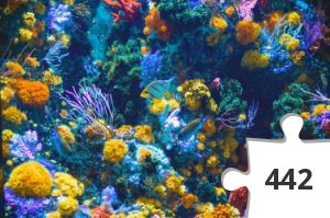 Jigsaw puzzle - PuzzlePiece1