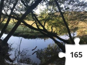 Jigsaw puzzle - puzzel 09 waterschommel