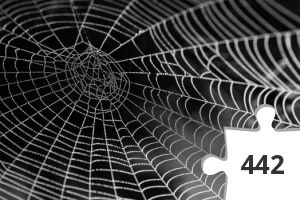 Jigsaw puzzle - spider-web-with-water-beads-network-dewdrop