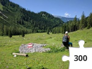 Jigsaw puzzle - Holzeralm