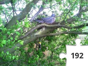 Jigsaw puzzle - Geodue