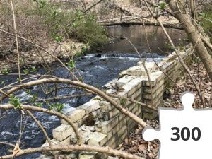 Jigsaw puzzle - An afternoon on the Jamawisis