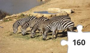 Jigsaw puzzle - atr-tisch-family-biblical-zoo-8