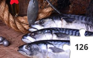 Jigsaw puzzle - Makrele