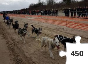 Jigsaw puzzle - Schlittenhunderennen Heringsdorf 20190310_120541