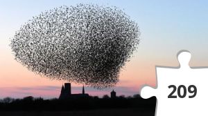 Jigsaw puzzle - kigger på fugle # 19