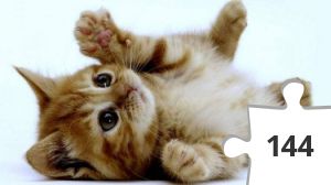 Jigsaw puzzle - ya colocado