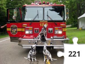 Jigsaw puzzle - Sparky, Spot and Woof!