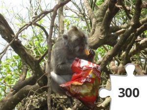 Jigsaw puzzle - Hungrig