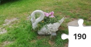 Jigsaw puzzle - svane