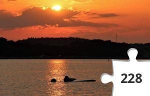 Jigsaw puzzle - Vandtårnet 34