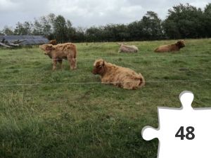 Jigsaw puzzle - 2019-08-10 16.19.56