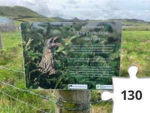 Jigsaw puzzle - The Corncrake.