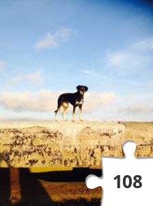 Jigsaw puzzle - Snail 11