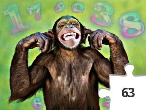 Jigsaw puzzle - 60336110_2328561577391607_4020514715372355584_n