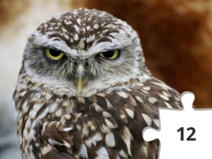 Jigsaw puzzle - ugel