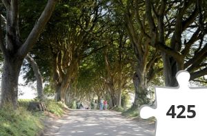 Jigsaw puzzle - Puzzle4_Nordirland