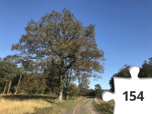 Jigsaw puzzle - puzzel 05 zandpad