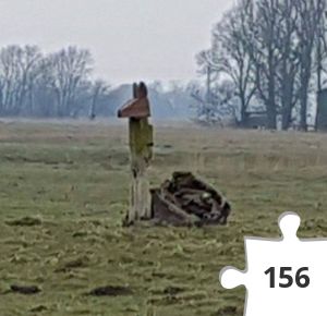 Jigsaw puzzle - Pako