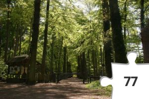 Jigsaw puzzle - #19 ZW FRL Puzzeltrail