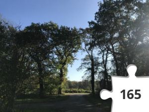 Jigsaw puzzle - puzzel 01 vanaf P