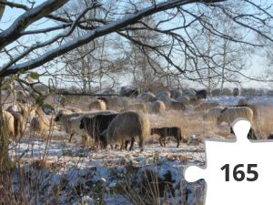 Jigsaw puzzle - DDVK 08