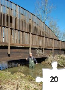 Jigsaw puzzle - I det våde element