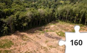 Jigsaw puzzle - Heal the World #64